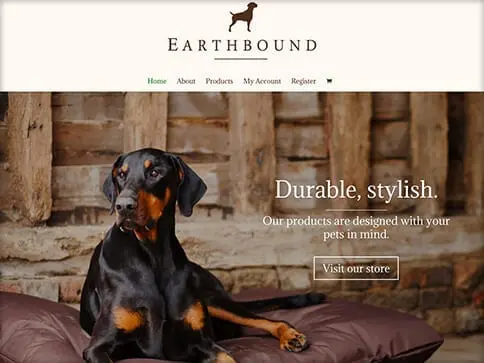 - Portfolio Earthbound