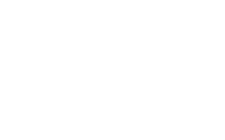 SEO Experts