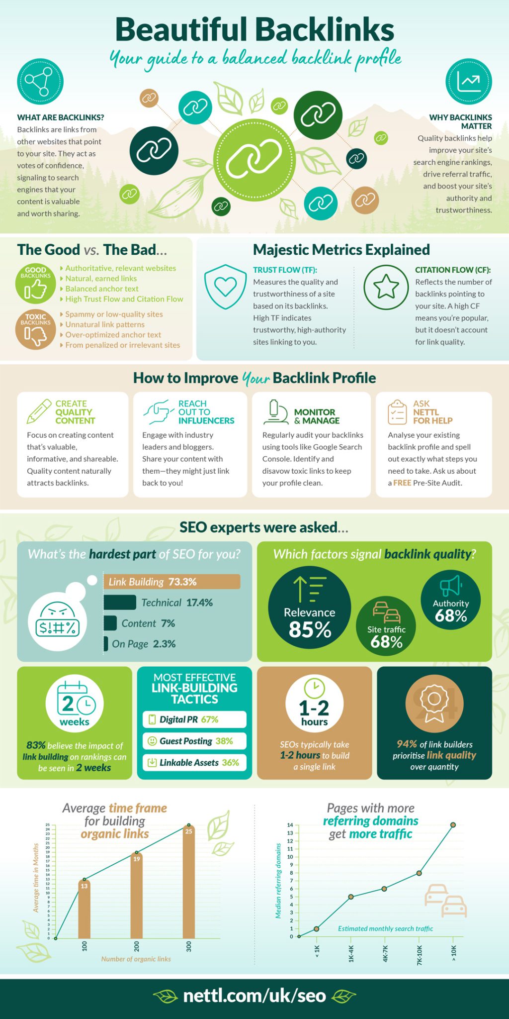 backlink profile inforgraphic